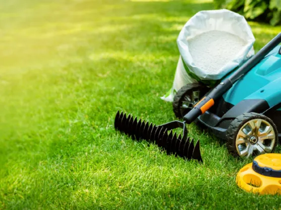 Cura del prato in primavera