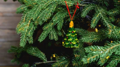 Albero di Natale vero