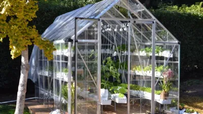 Coltivazione idroponica in casa