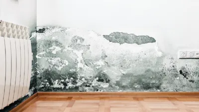 Come combattere la muffa in casa: segreti per prevenire