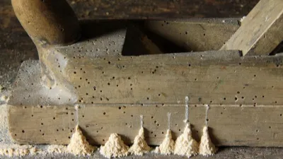 Danni causati dai tarli del legno