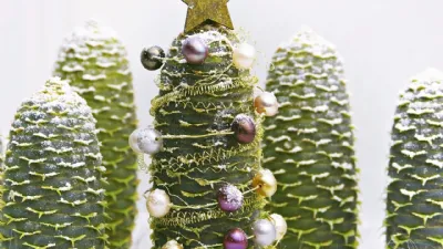 Lavoretti di Natale con pigne