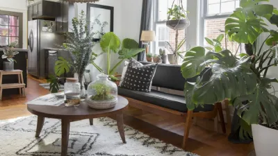 Alcune piante aiutano a purificare l'aria negli ambienti chiusi