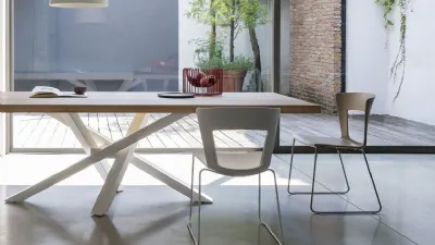 Sedia impilabile Lilia - Riflessi